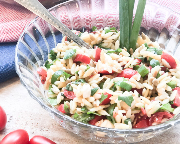 Healthy Orzo Pasta Salad