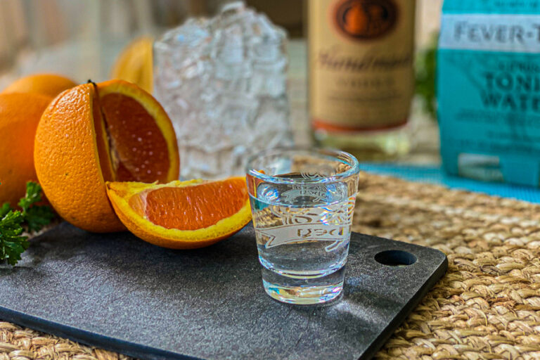 Vodka Tonic with Orange — Fresh Simple Home